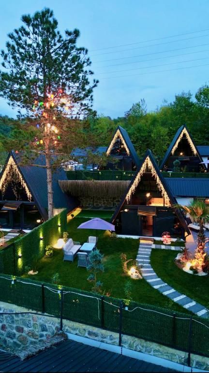 Sapanca Pine Life — 5