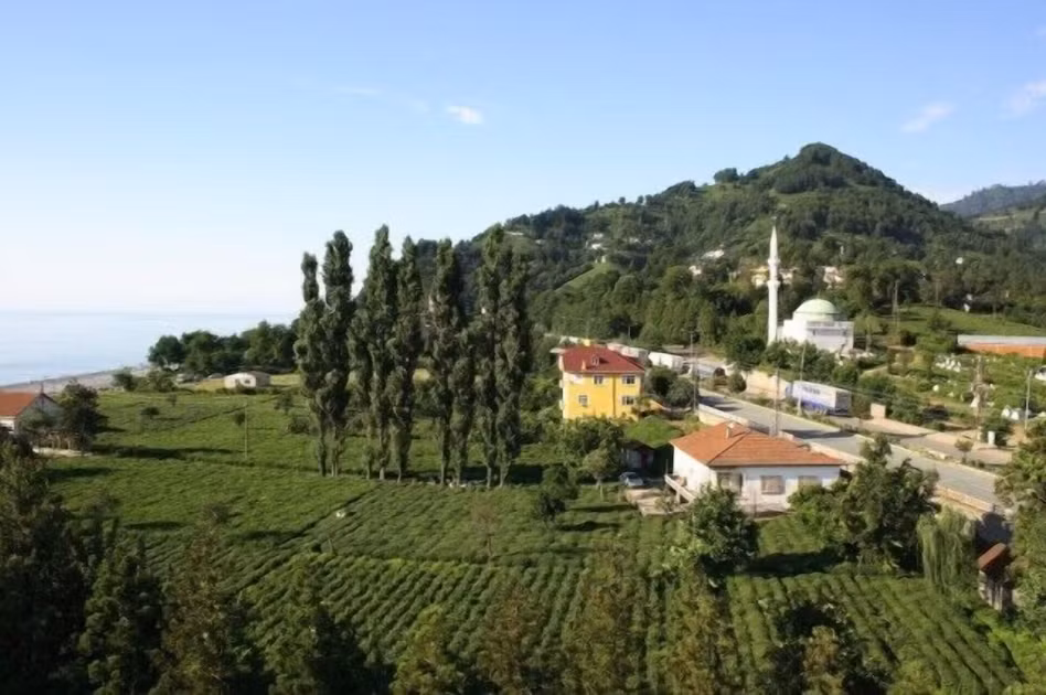 Sarp Otel — 6