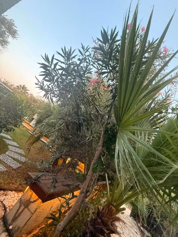Seal Beach Otel Karaburun — 8