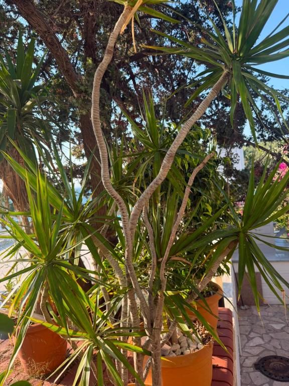 Seal Beach Otel Karaburun — 10