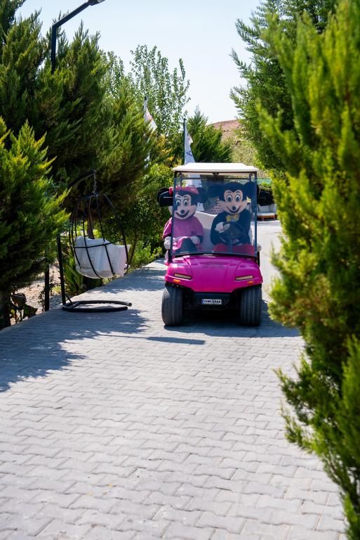 Simlarda Aquapark Otel — 7