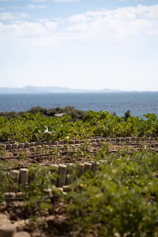 Six Senses Kaplankaya — 7