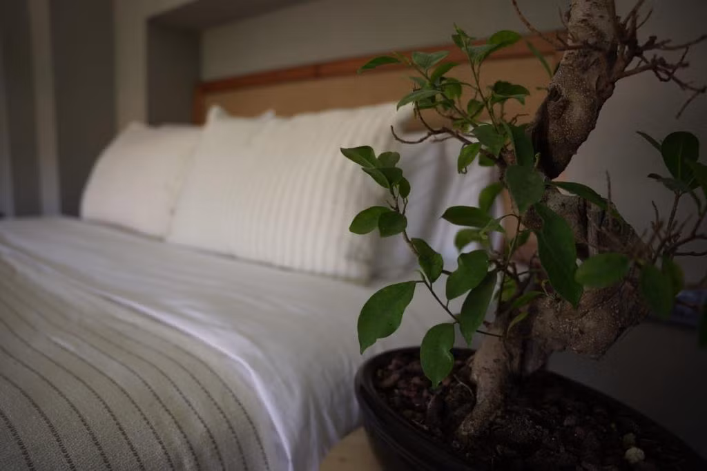 Soas Suites Alaçatı +12 Yetişkin Oteli  — 6