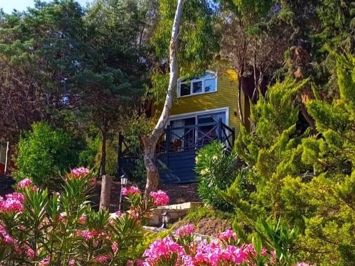 Sole Foça