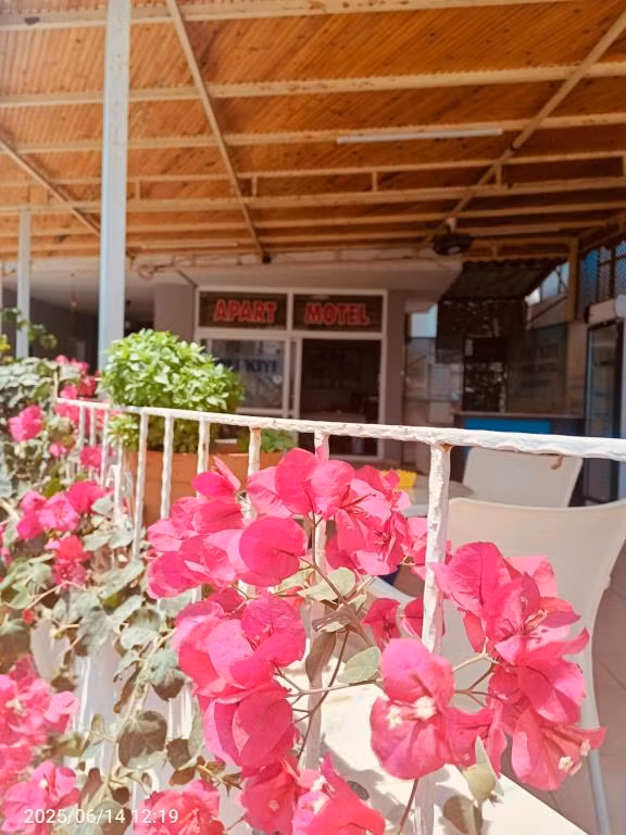 Soli Kıyı — 2