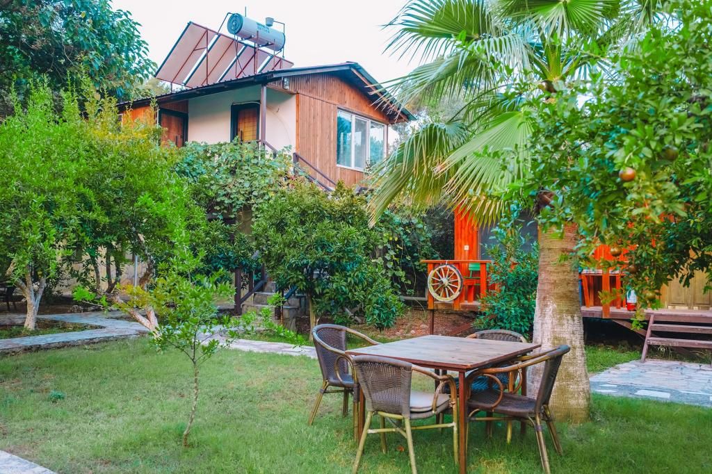Sunthalia Olympos — 9