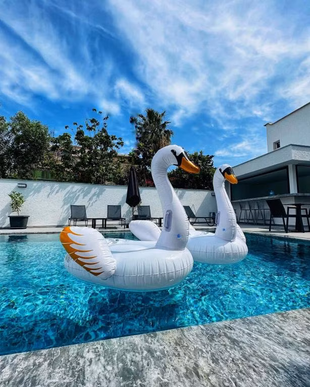 Swan Boutique Hotel — 2