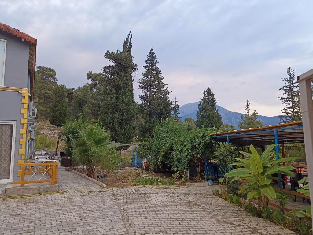 Tokgöz Pansiyon Otel  Restaurant — 7