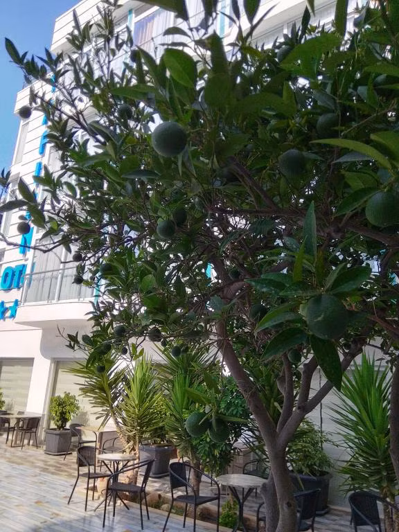 Taflan Otel — 3