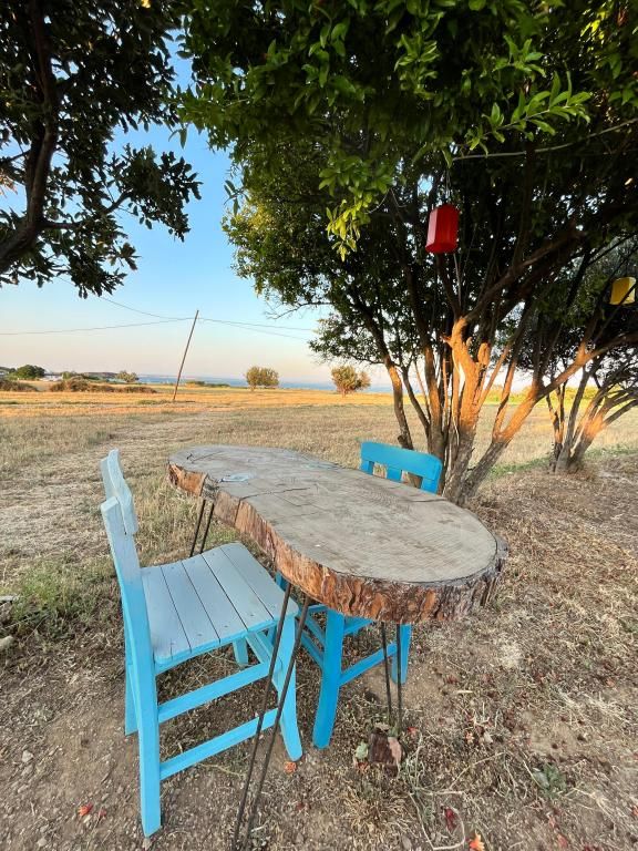 Tenedos Tatil Odaları — 3