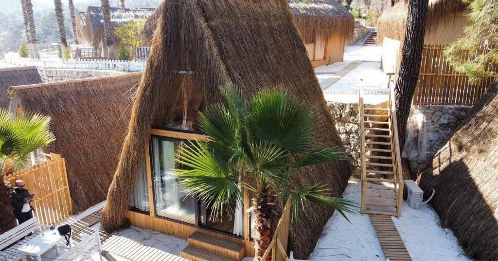The Hill Glamping Çıralı — 8