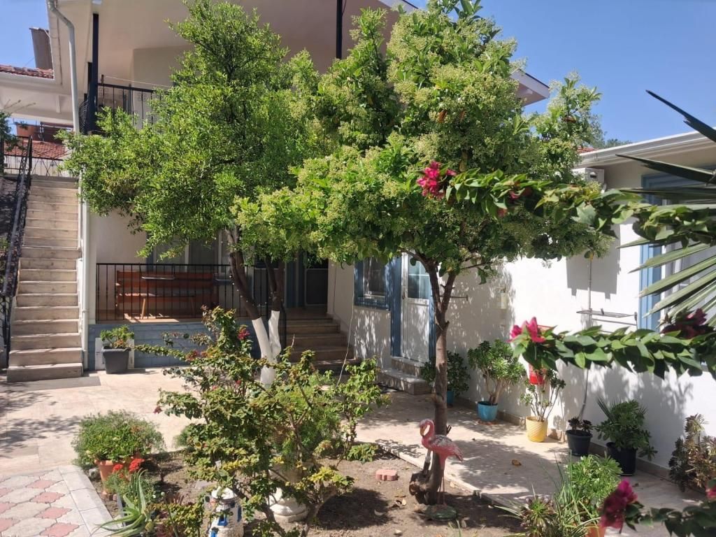 Tolga Pansiyon — 2