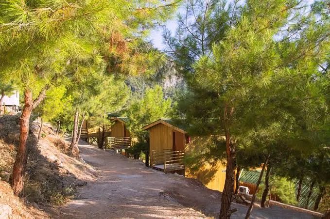 Tree House Otel — 9