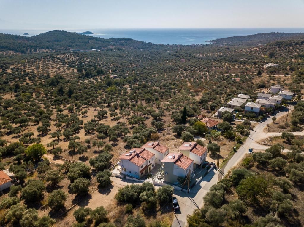 Villa Oliva — 6