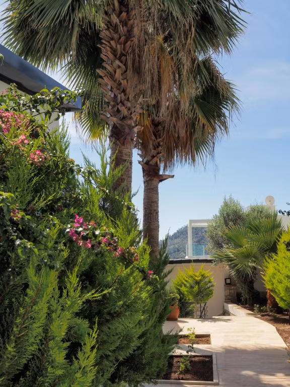 Villa Oliva Mare — 4