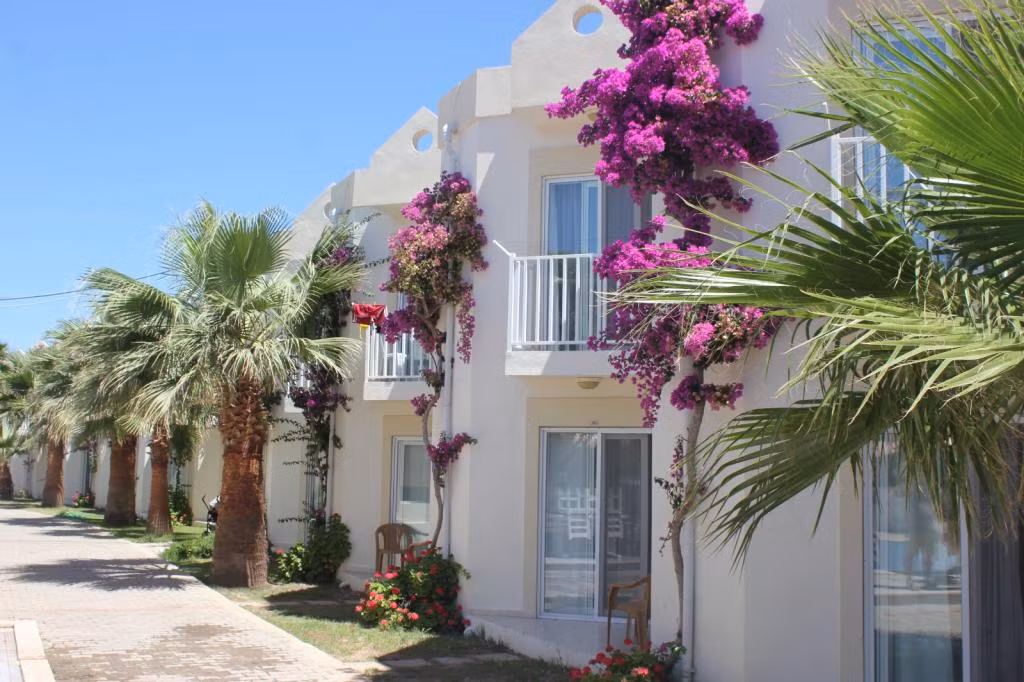 Viras Hotel — 4
