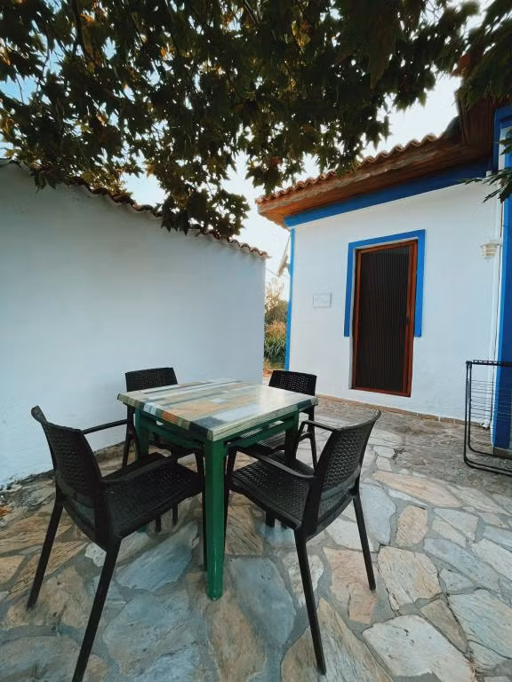 VİTA LONGA  — 5