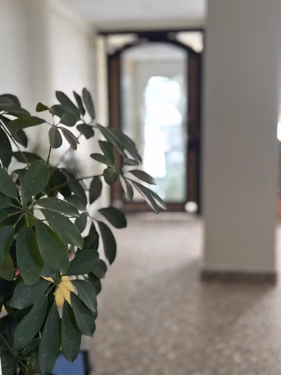 West Marmara Otel — 8