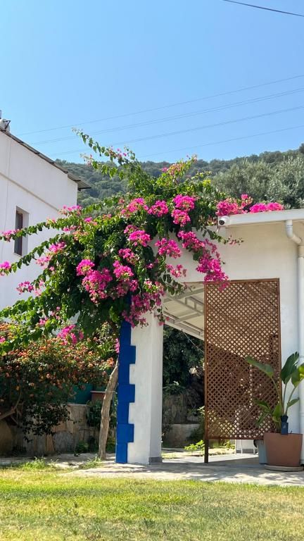 Yalıyanı Pansiyon — 6