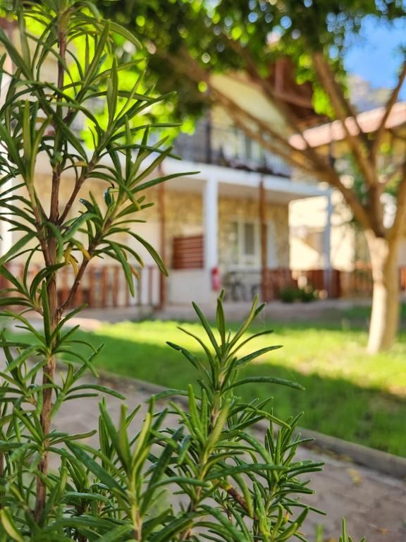 Yedi (7) Butik Hotel