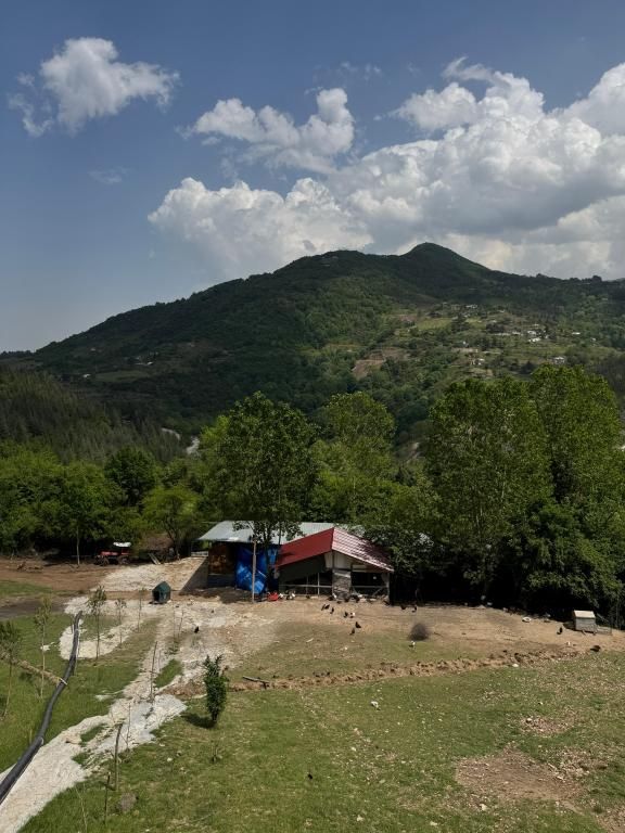 Yuvacık Kazlı Bahçe Bungalov Otel — 2