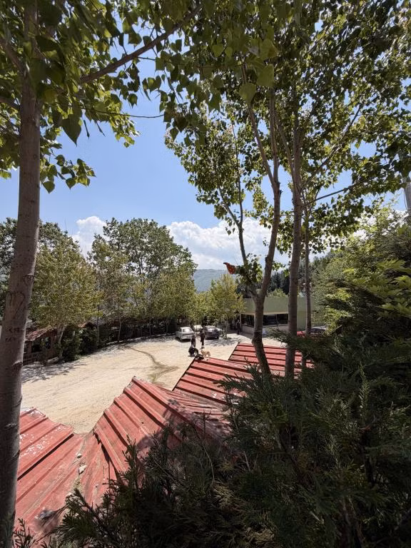 Yuvacık Kazlı Bahçe Bungalov Otel — 3