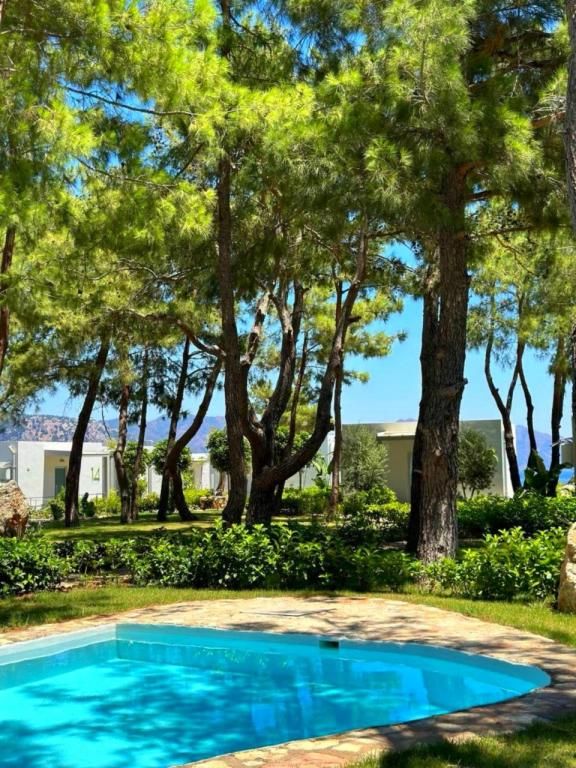 Z Villas Beach Hotel — 4