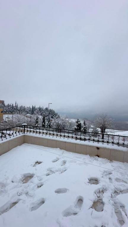 Zümrüt Konağı — 5