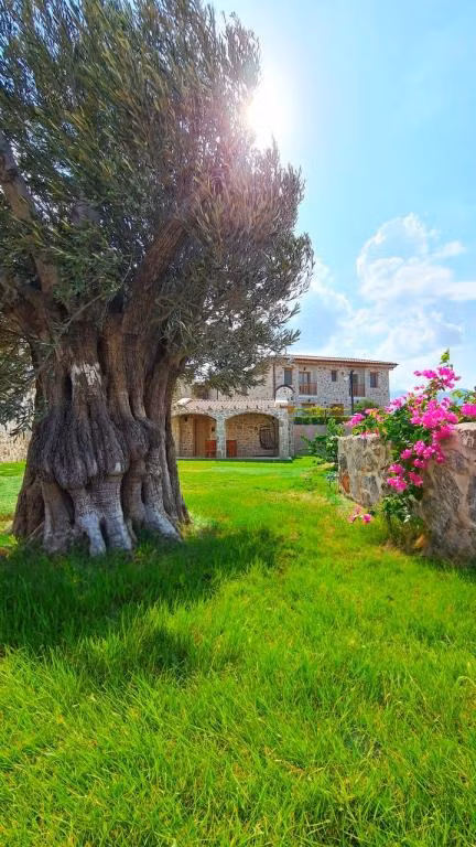 Zeyt Inn Hotel Datça — 4