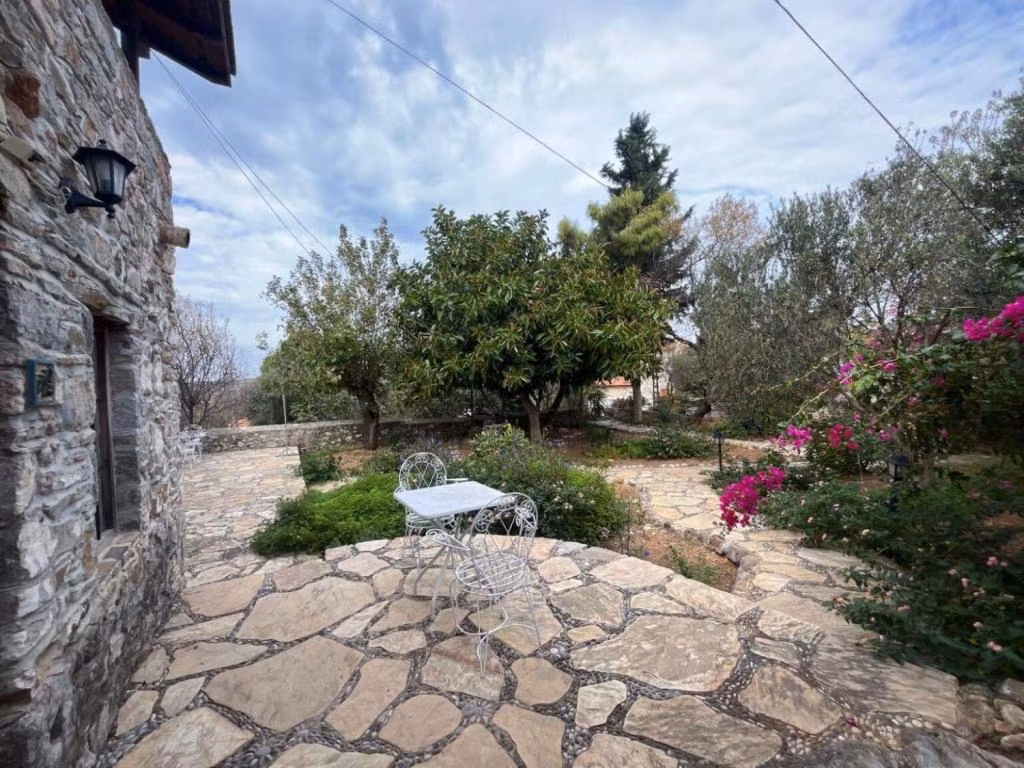 Zeytin Evi — 2