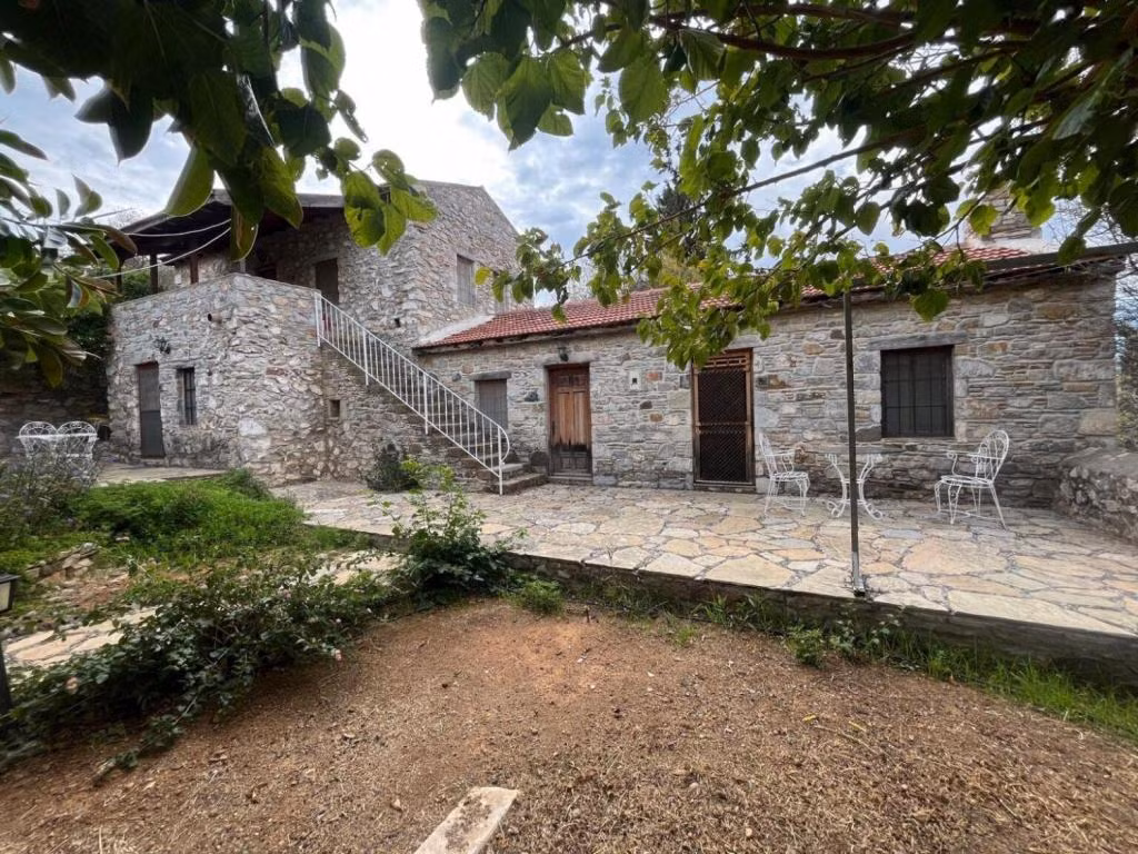 Zeytin Evi — 3