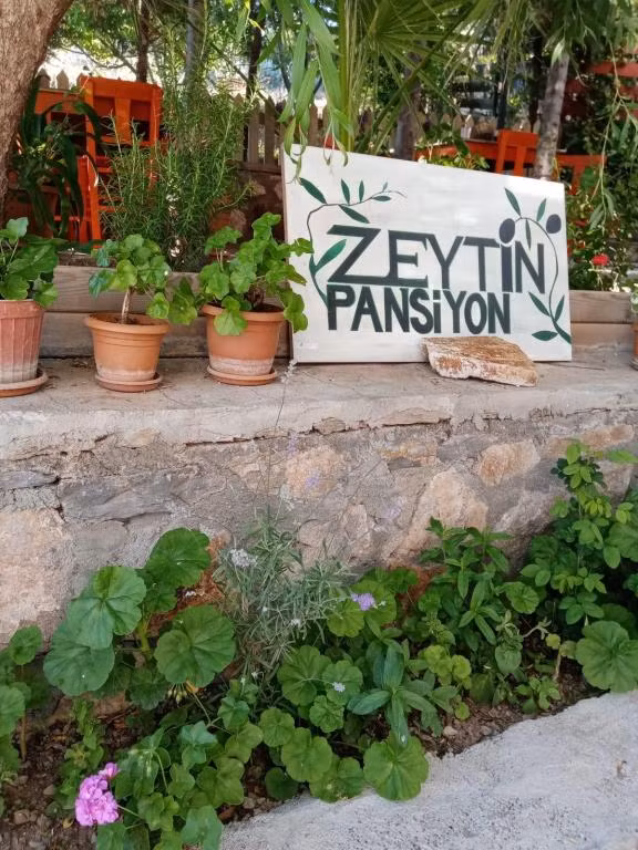Zeytin Suit Bozcaada — 3
