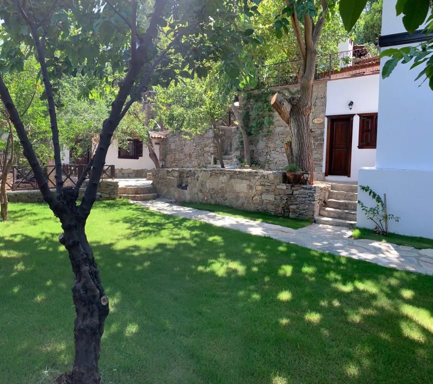 Adissa Şirince — 3