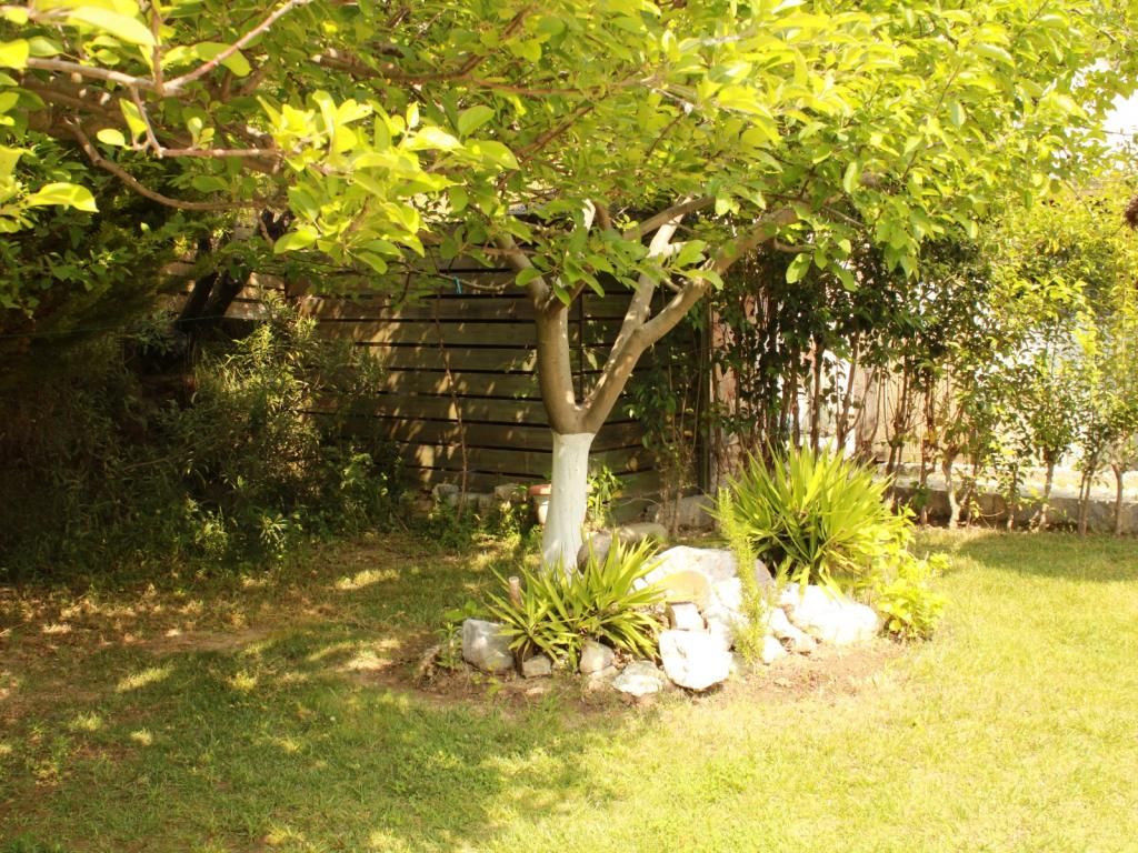 Aliş Boutique Otel — 7