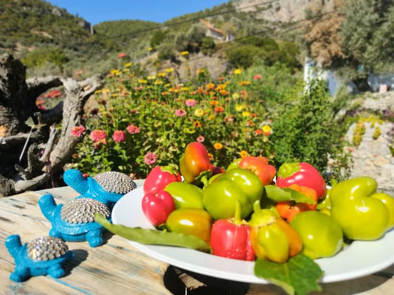Mavi Kelebek Datça — 7
