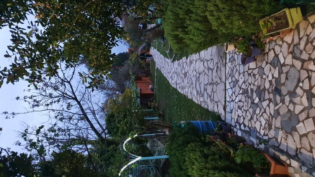 Albatross Dağ Evleri