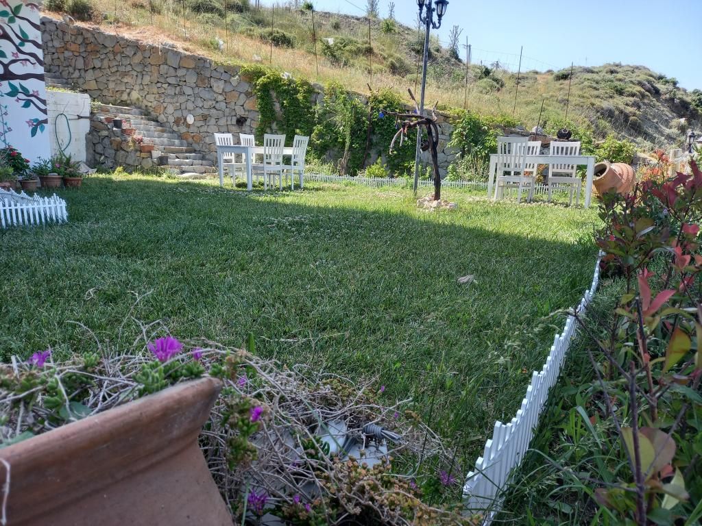 Ada Kekiği Pansiyon — 2