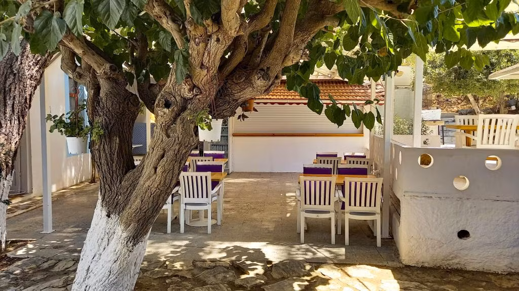 Hotel Tropicana Datça — 6