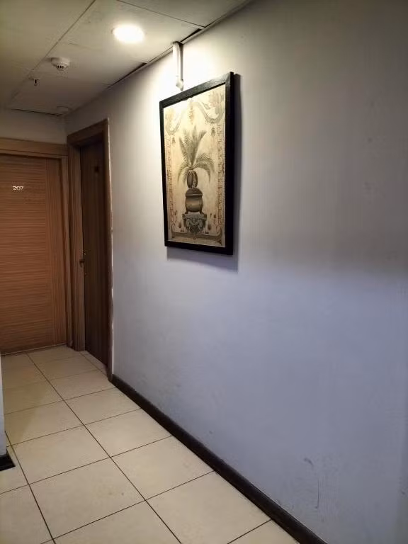 İstanbul Dedem Hotel — 5