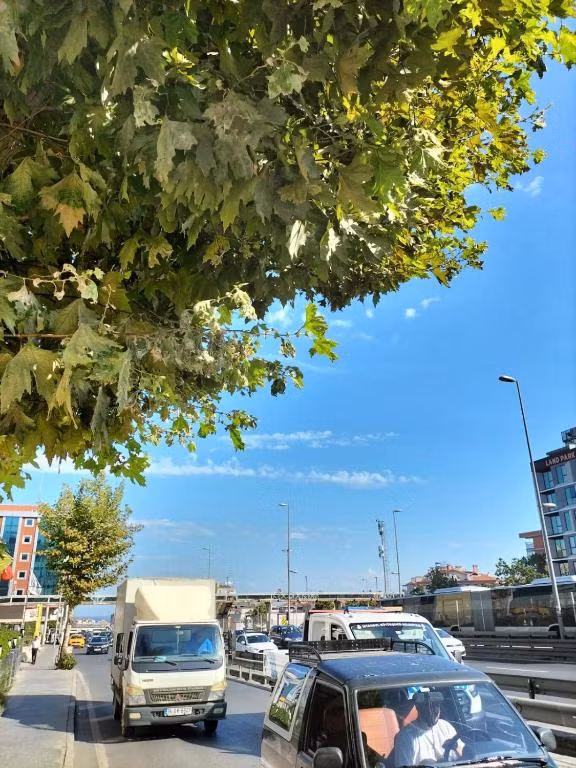 İstanbul Dedem Hotel — 4