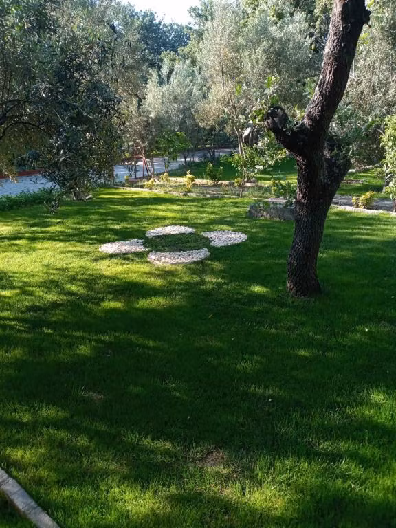 Ela Ela Bungalov Evler — 6