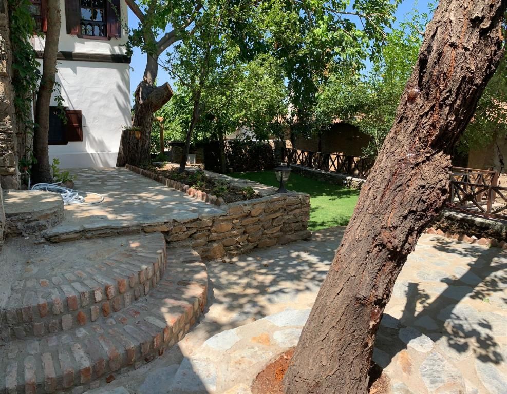 Adissa Şirince — 4