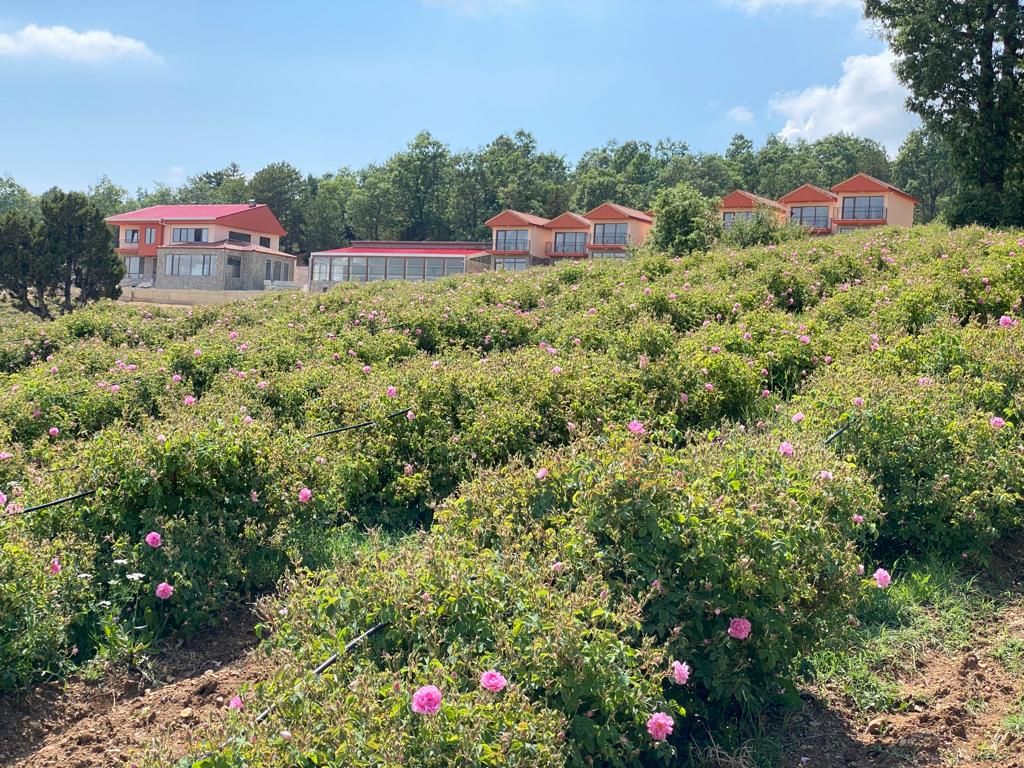 La Vie En Rose Otel — 3