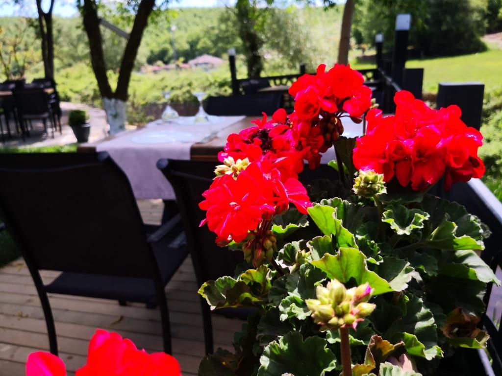 HBS Life & Garden Polonezköy — 2