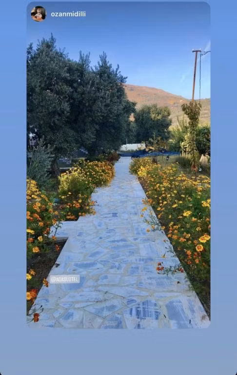 Adasu Otel Marmara Adası — 3