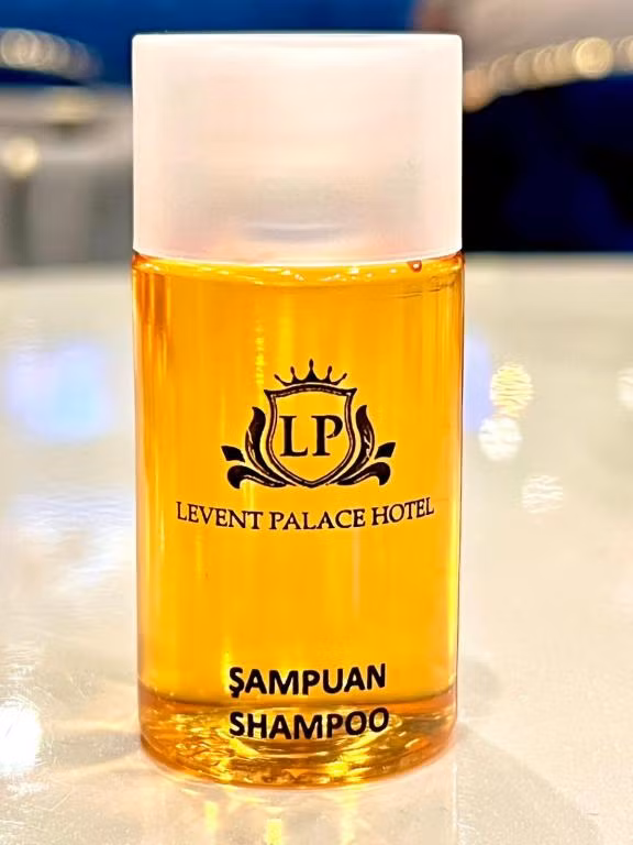 Levent Palace Otel — 9
