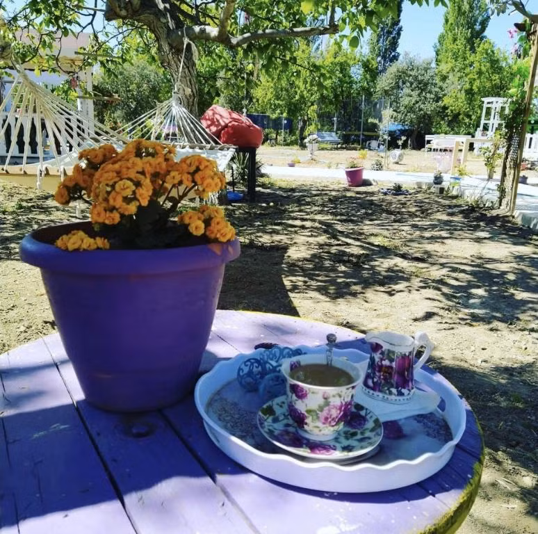 Adasu Otel Marmara Adası — 2