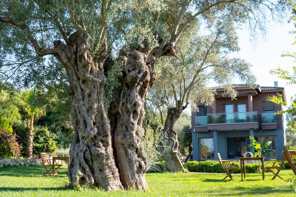 Bryela Hotel Urla — 6