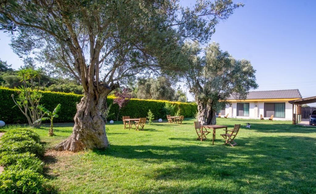 Bryela Hotel Urla — 4
