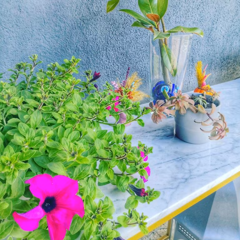 HBS Life & Garden Polonezköy — 6